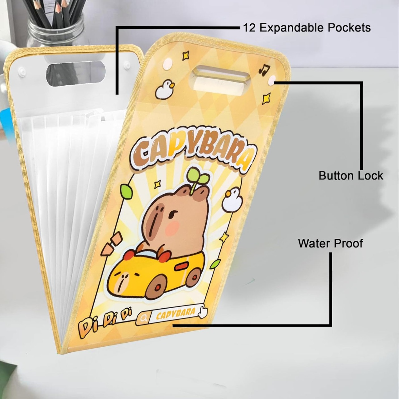Capybara File Folder A4 With 12 Layers ( 1pcs )