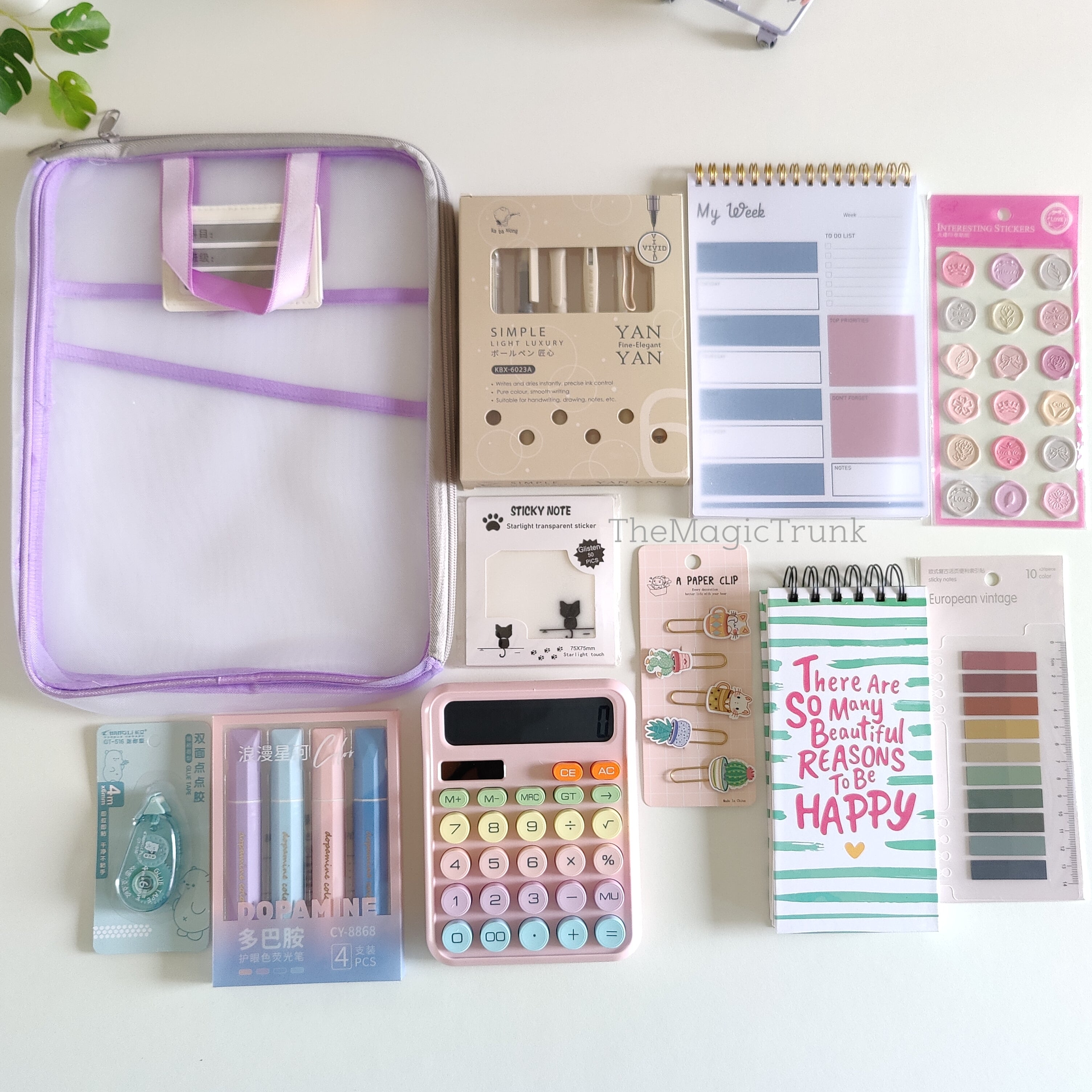 Aesthetic Mesh Folder Pouch Stationery Combo / Hamper
