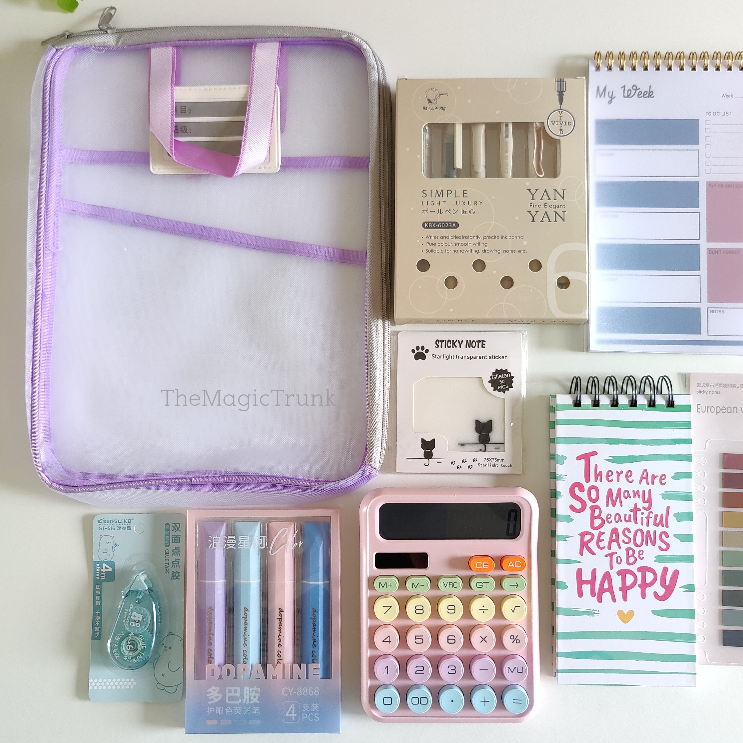 Aesthetic Mesh Folder Pouch Stationery Combo / Hamper