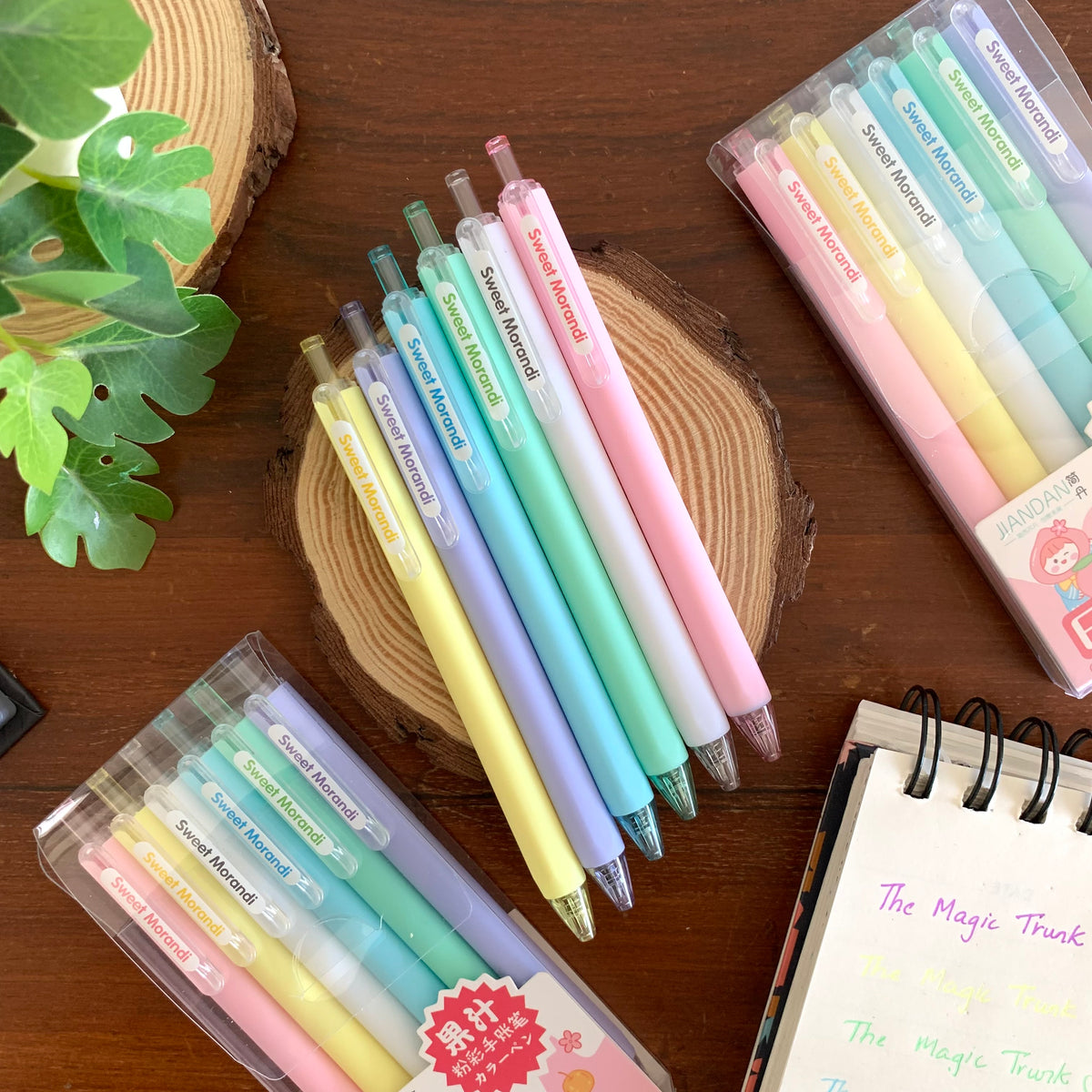 Pastel Color Pen Set ( 6 pcs ) – The Magic Trunk