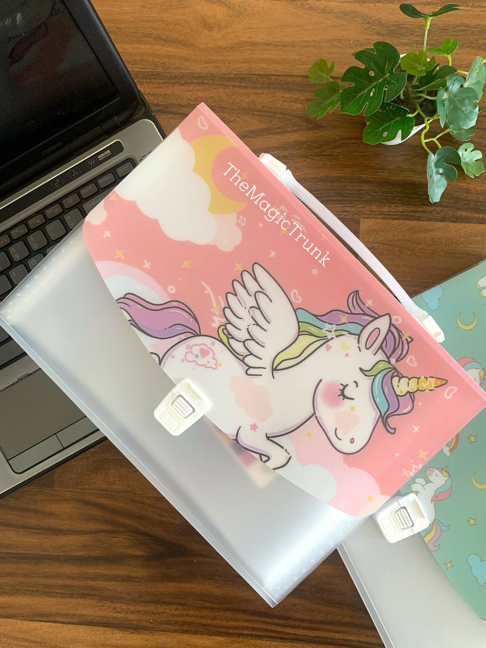Unicorn Dust Box A4 File Folder