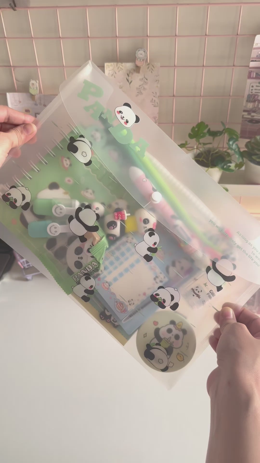 Panda Stationery Combo / Hamper