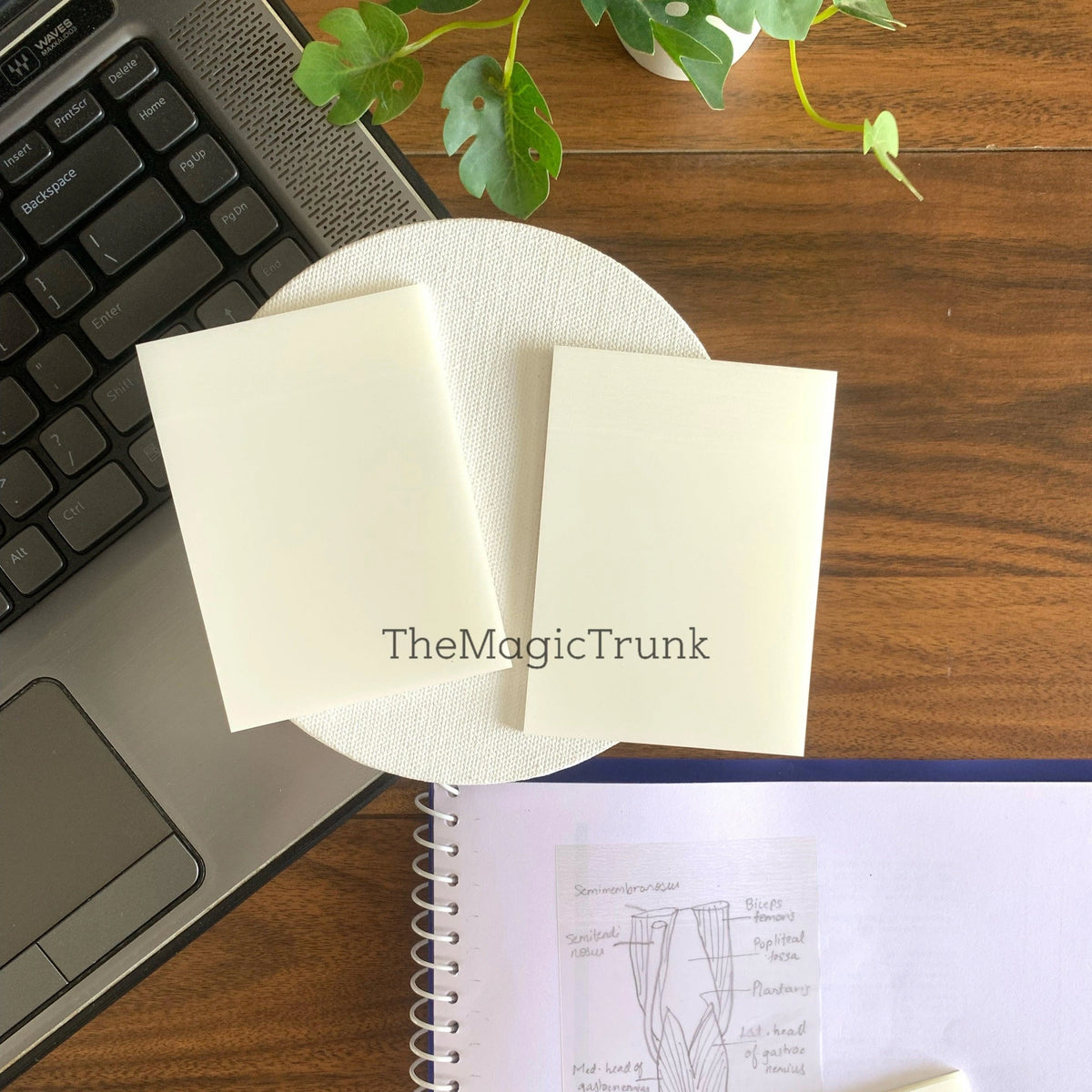 Aesthetic Plain Transparent Sticky Notes ( 1 pc )