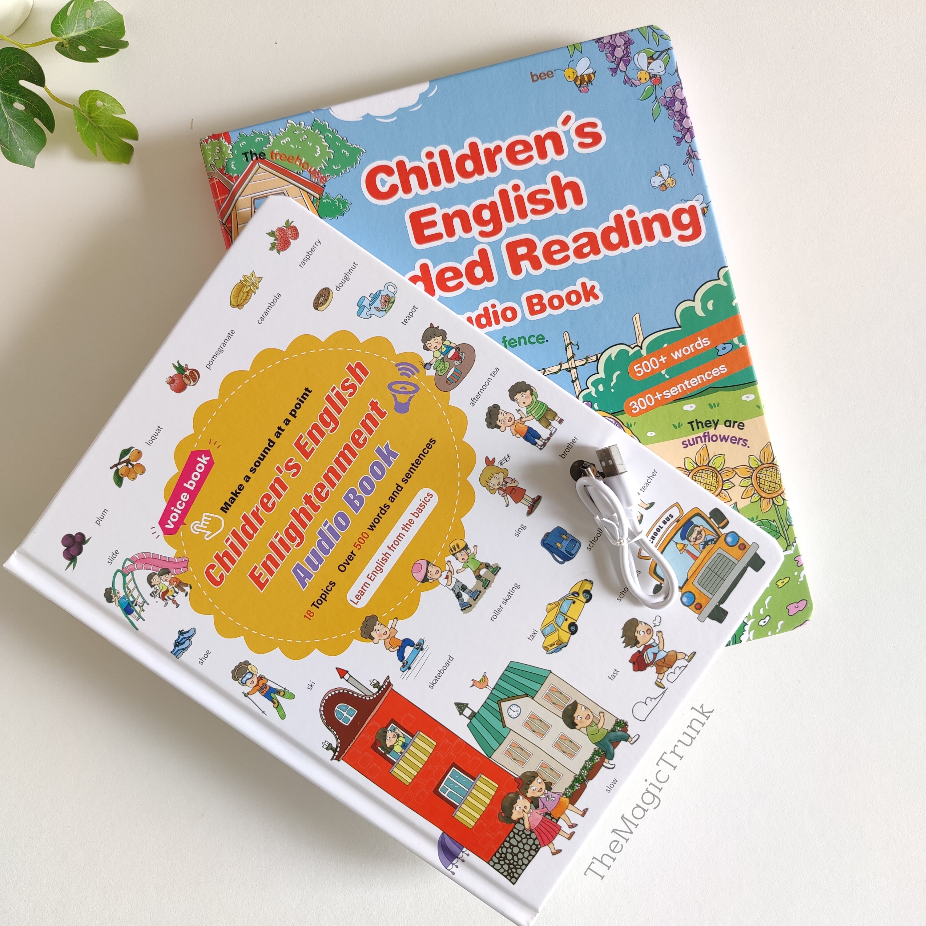 Interactive English Learning Kids Audio Book Rechargable ( 1pc )