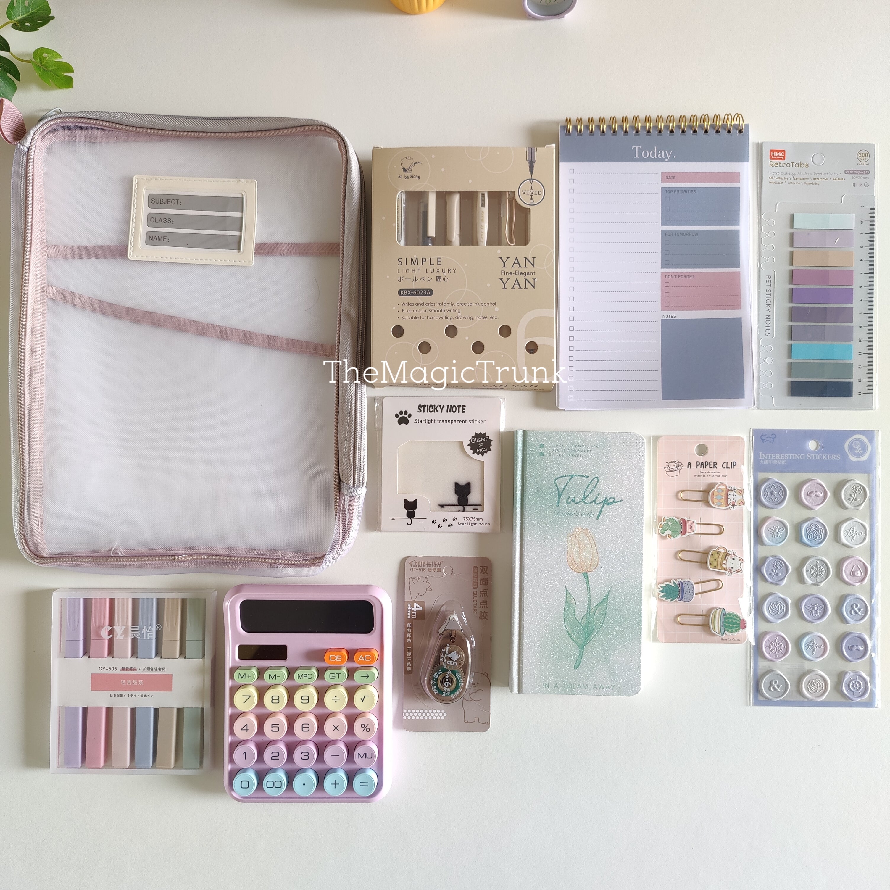 Aesthetic Mesh Folder Pouch Stationery Combo / Hamper