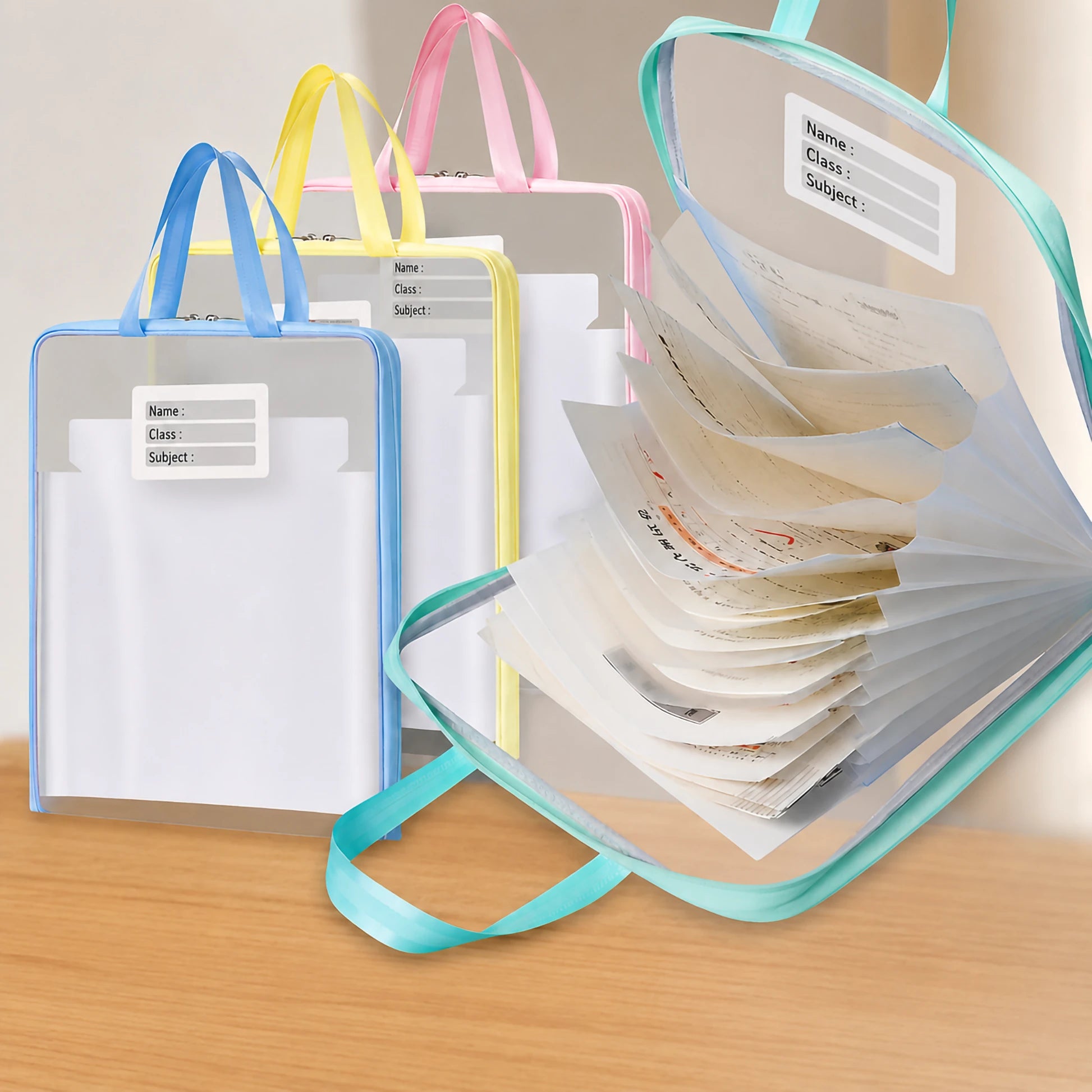 Aesthetic Mesh File Folder / Document Folder With Handle & Zip Closure A4 ( 1 pc )