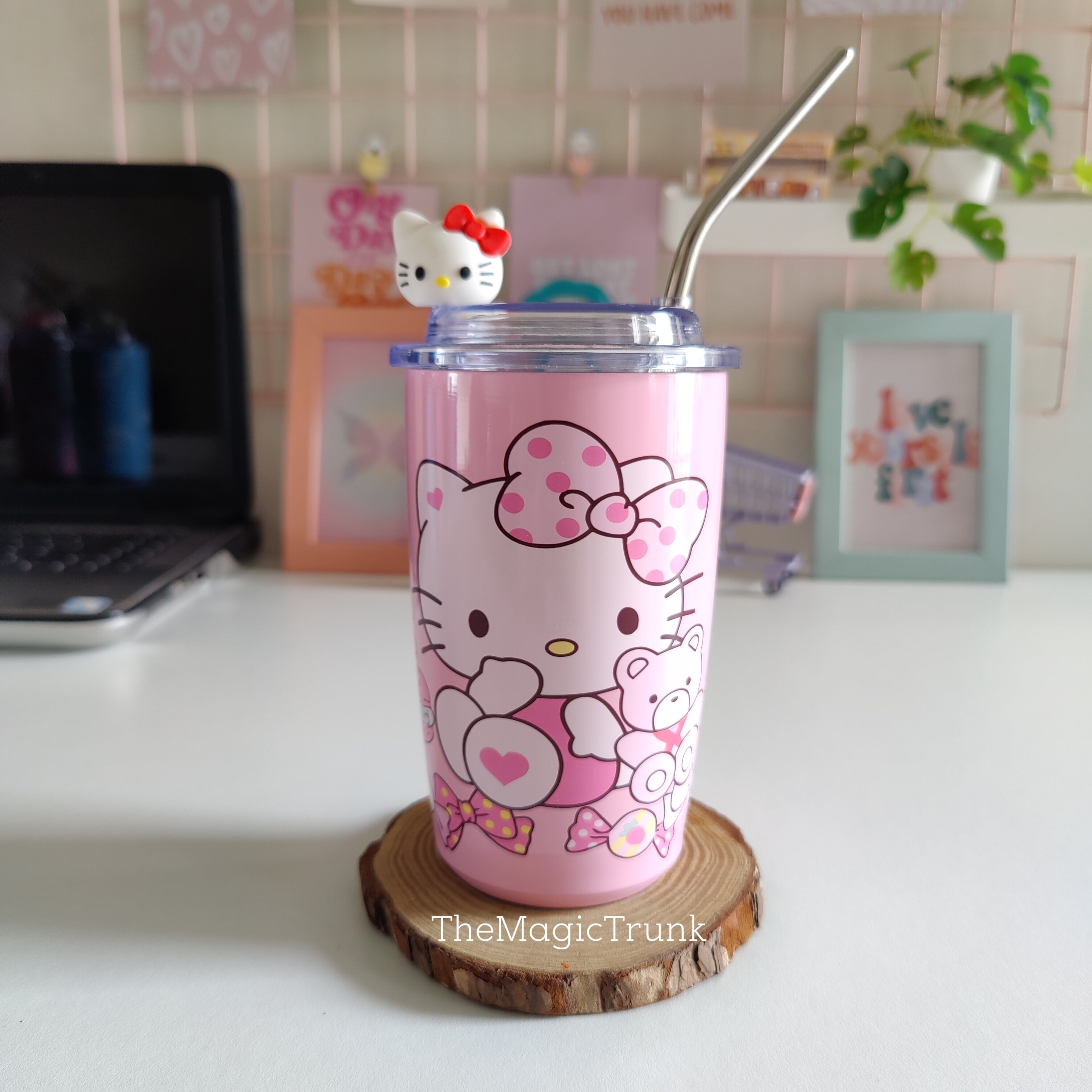 Sanrio Tumbler With Straw & Charm ( 1pc )