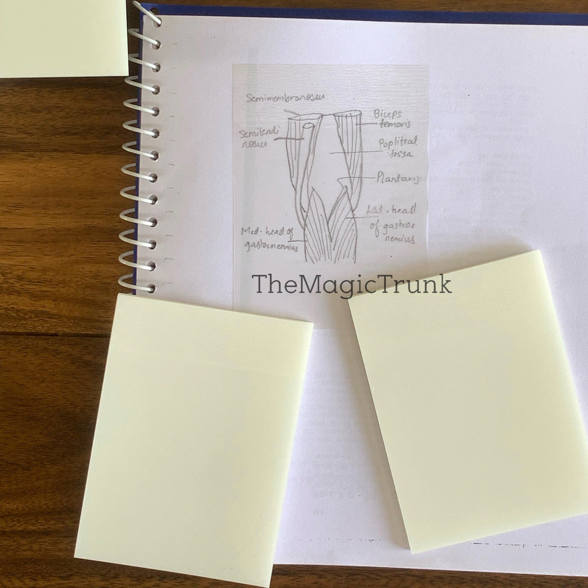 Aesthetic Plain Transparent Sticky Notes ( 1 pc )